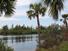 /images/business/6-A view from the Jungle Trail of the lagoon-900-675_thumbnail.jpg